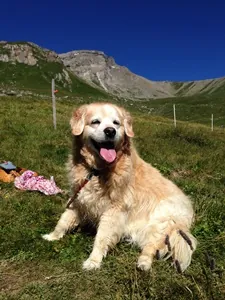 Trauer zulassen...